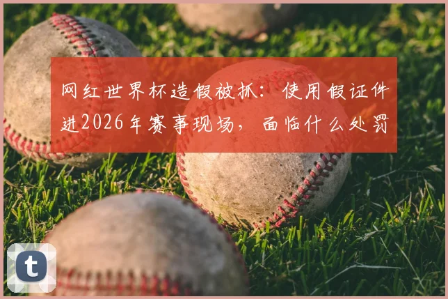 网红世界杯造假被抓：使用假证件进2026年赛事现场，面临什么处罚？